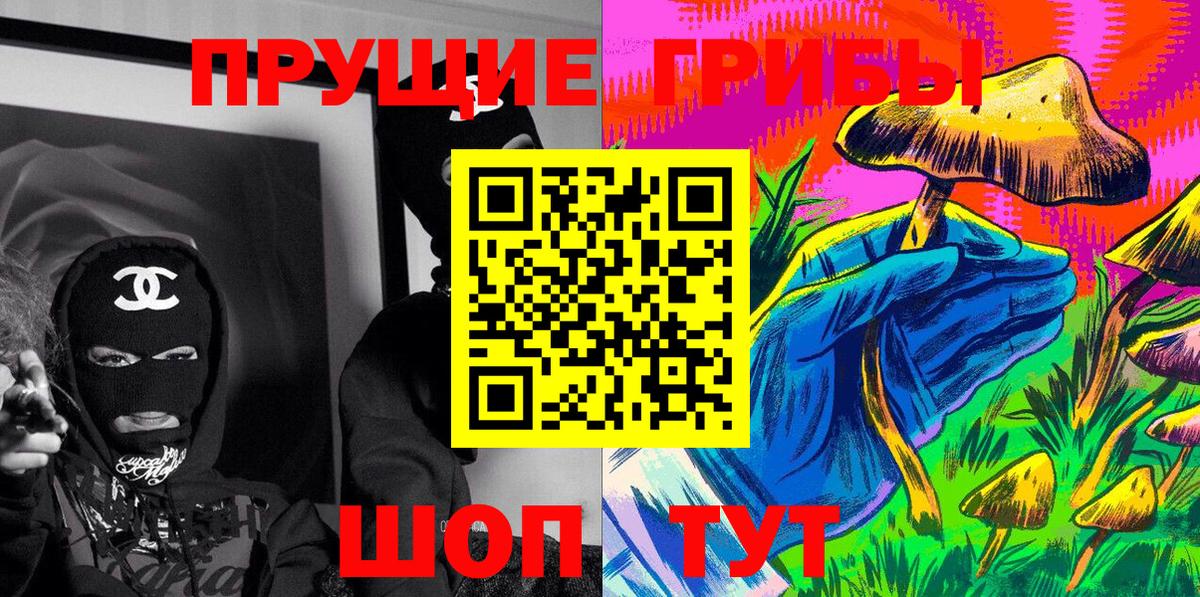 Галлюциногенные грибы прущие грибы  Вход с VPN  Вичуга 